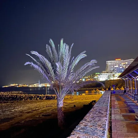 Las Flores Studio 5 Playa de las Americas  Exterior photo