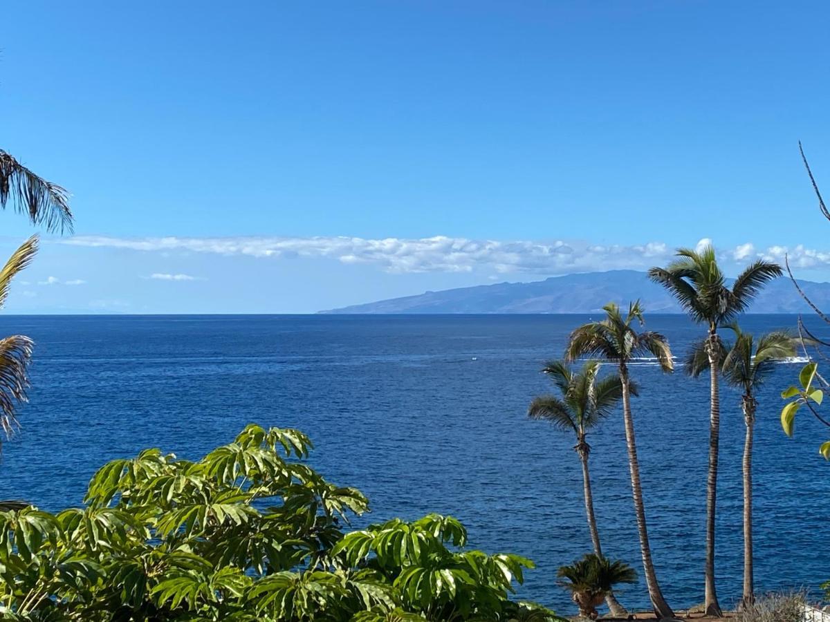 Flores 5 * Playa de las Americas (Tenerife)